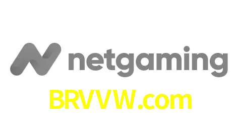NetGaming